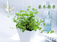 ��܇Ȣ�H����x�飬��܇ԓ��ȥ�Ώ�