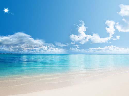 婚外情 精神賠償