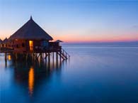 ����C�����޸������� | ��͢�f��