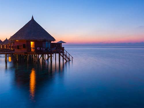 ���޸�������