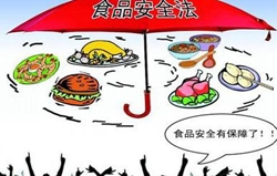 ʳƷ��ȫ�˜ʵ����|��ʲô��˼��