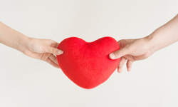 ��͢�P(gu��n)ע | �P(gu��n)��ͬ���P(gu��n)ϵ�m�������P(gu��n)���}