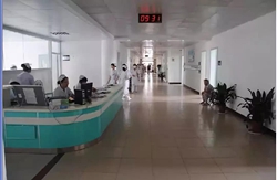 ��͢�f�� | �w�z�I���@������e���_�����@Щ�w�z�Ŀ�����V��